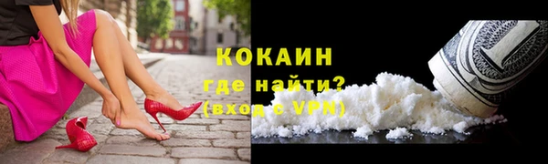 сатива Козельск