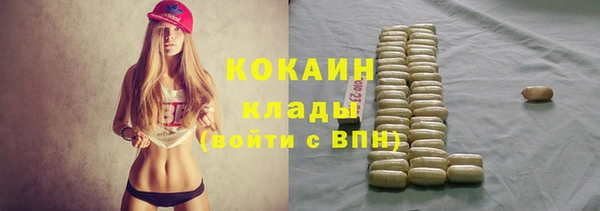 сатива Козельск