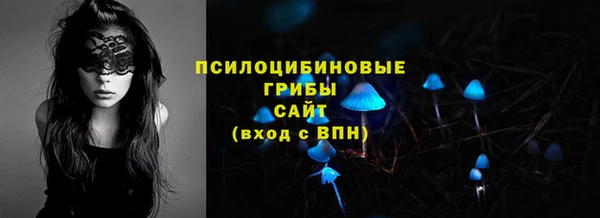 сатива Козельск