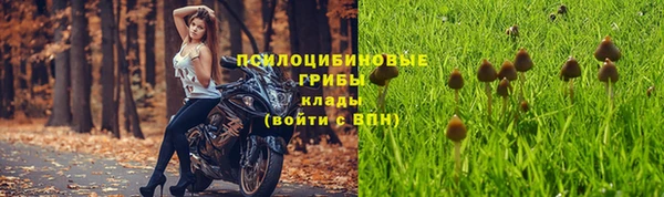 мдпв Корсаков